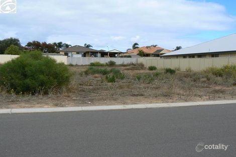 Property photo of 19 Bagley Crescent Mount Tarcoola WA 6530