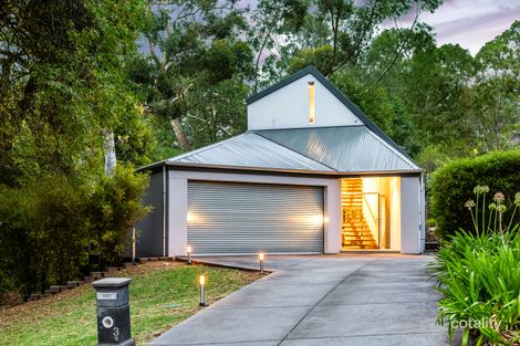 Property photo of 3B Glen Avenue Hawthorndene SA 5051