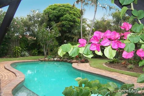 Property photo of 40 Fairsky Avenue Mermaid Waters QLD 4218