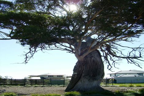 Property photo of 12 Barrington Chase Sandhurst VIC 3977