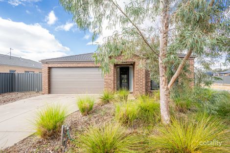 Property photo of 3 Silverleaf Road Kialla VIC 3631
