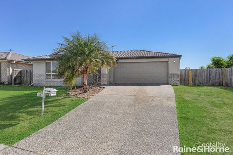 Property photo of 38 Baden Jones Way North Booval QLD 4304