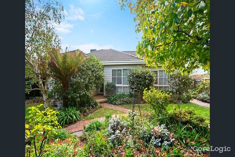 Property photo of 31 Voltri Street Cheltenham VIC 3192