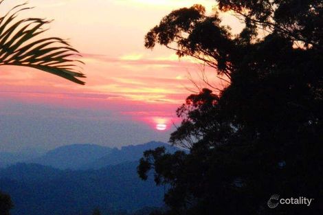 212 Mount Browne Rd, Upper Orara, NSW 2450