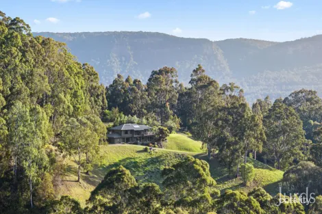 Property photo of 121 Rodney Road Mount Vincent NSW 2323