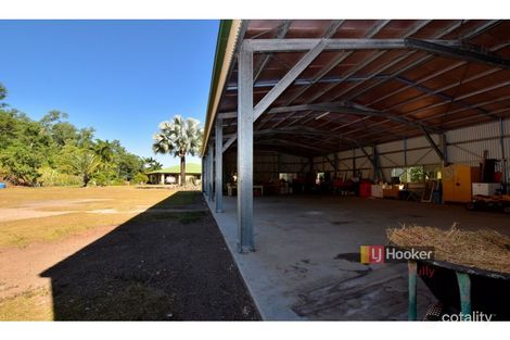 Property photo of 12 Munro Hill Close Munro Plains QLD 4854