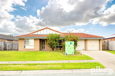 19 Macaranga St, Morayfield, QLD 4506