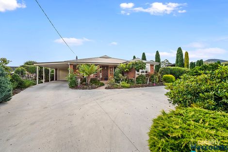 Property photo of 7 Johnson Street Sheffield TAS 7306