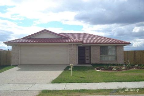 Property photo of 14 Willow Close Raceview QLD 4305