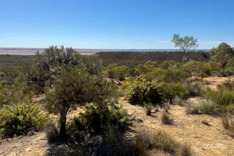3659 Geraldton-Mount Magnet Rd, Wicherina, WA 6532