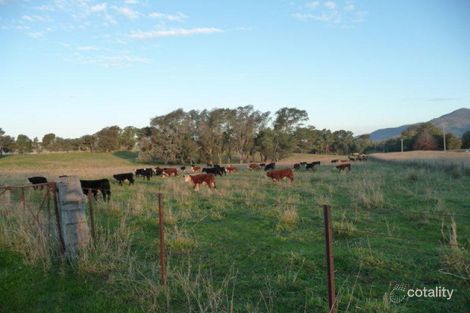 174 Boyes Rd, Leneva, VIC 3691