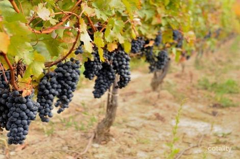 Property photo of 9 Rotherham Brace Caversham WA 6055