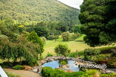 Property photo of 10 Martyr Road Warburton VIC 3799