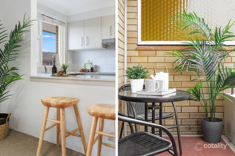 Property photo of 11/36 Alt Street Ashfield NSW 2131