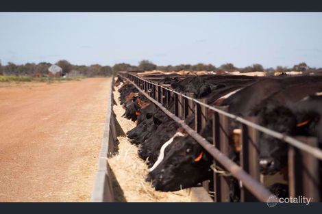 46 Watson Rd, Burakin, WA 6467