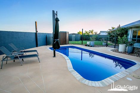 Property photo of 43 Black Star Crescent Healy QLD 4825