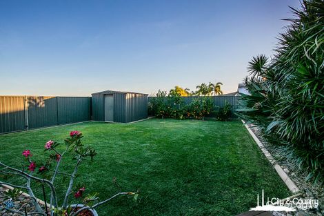 Property photo of 43 Black Star Crescent Healy QLD 4825