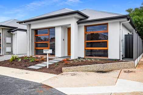 Property photo of 52 Struan Avenue Warradale SA 5046