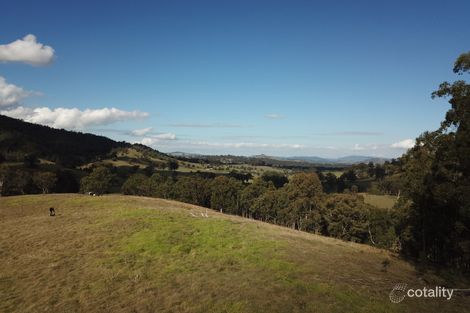 262 Dog Trap Creek Rd, Bingleburra, NSW 2311