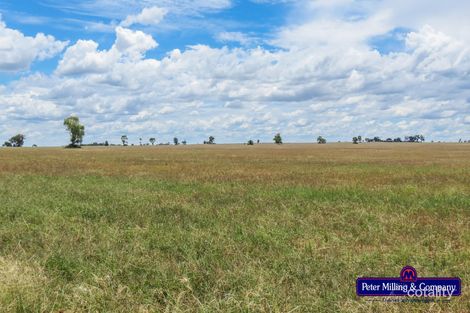 887 Cobboco Rd, Burroway, NSW 2821