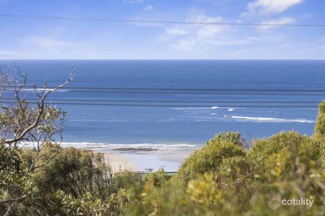 Property photo of 13 Jackson Street Anglesea VIC 3230