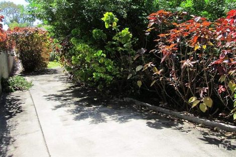 Property photo of 17 Philip Street Bowen QLD 4805