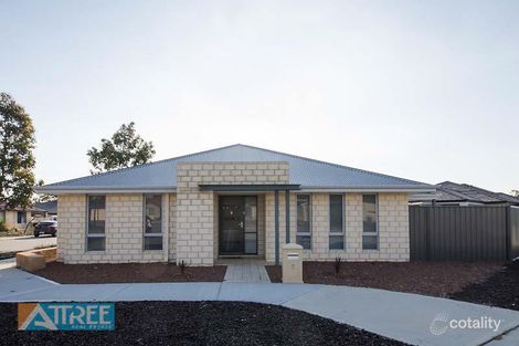 5 Peartree Tce, Seville Grove, WA 6112