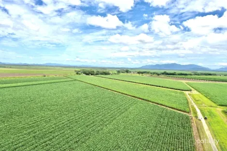 78 School Rd, Clare, QLD 4807