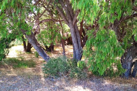 Property photo of 31 Blackwood Avenue Augusta WA 6290