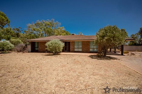 2 Levett Rd, Walkaway, WA 6528