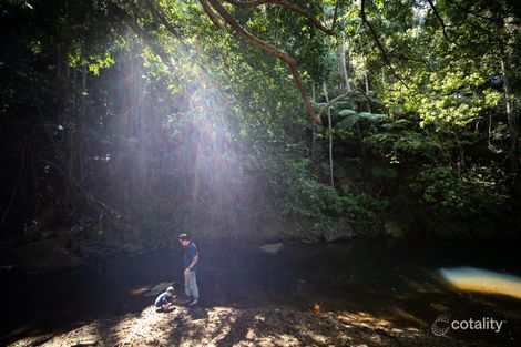 Property photo of 201 Carool Road Bilambil NSW 2486