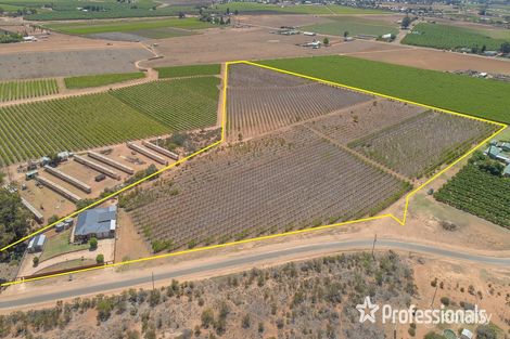 Property photo of 80 Quena Street Red Cliffs VIC 3496