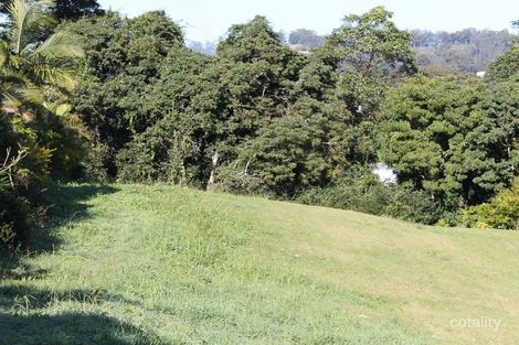 1 Mcnally St, Bellingen, NSW 2454