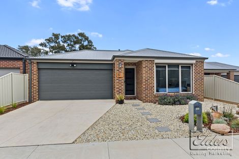 53 Sullivan St, Ascot, VIC 3551