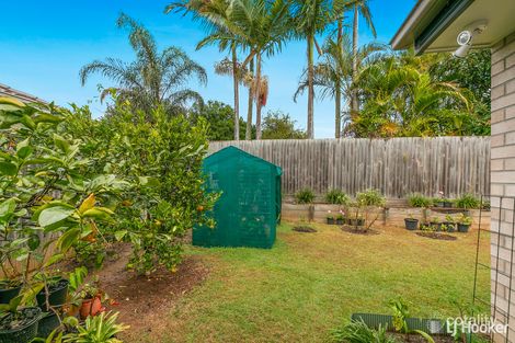 Property photo of 4/9 Pistachio Court Birkdale QLD 4159