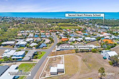 Property photo of 21 Eucalyptus Avenue Lammermoor QLD 4703