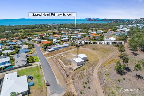 Property photo of 21 Eucalyptus Avenue Lammermoor QLD 4703