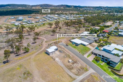 Property photo of 21 Eucalyptus Avenue Lammermoor QLD 4703