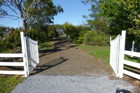 Property photo of 8 Pine Tree Avenue Grindelwald TAS 7277