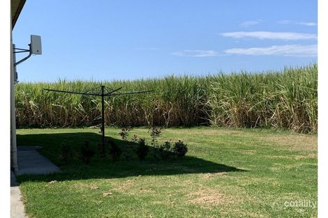 Property photo of 3-49 Farlows Lane Maclean NSW 2463