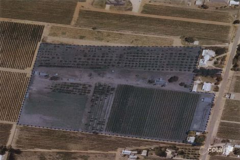 602 Chowilla St, Renmark West, SA 5341