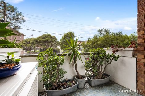 Property photo of 5/94 Frenchmans Road Randwick NSW 2031