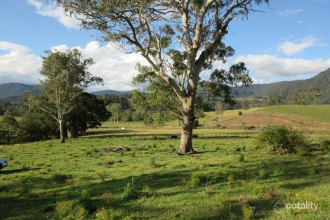Property photo of 1202 Gradys Creek Road Loadstone NSW 2474