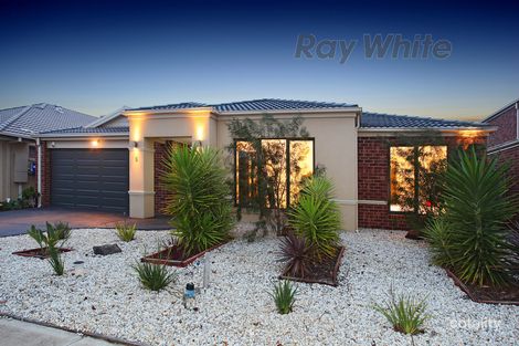 Property photo of 8 Sinavara Avenue Point Cook VIC 3030
