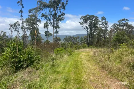Property photo of 173 Knodingbul Forest Road Mount George NSW 2424