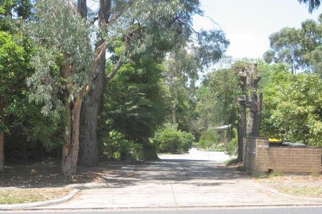 7/99-101 Surrey Rd, Blackburn North, VIC 3130