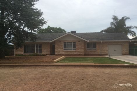 384 Senate Rd, Risdon Park South, SA 5540