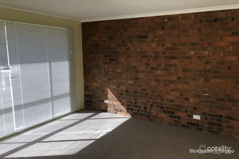 Property photo of 3/141 Swallow Street Shepparton VIC 3630