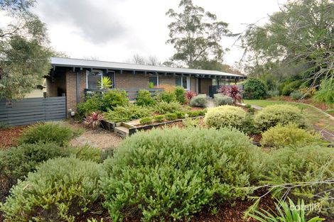 Property photo of 15 Macdonald Place Spence ACT 2615