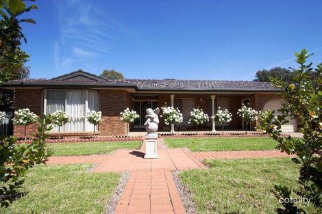 128 East St, Cartwrights Hill, NSW 2650